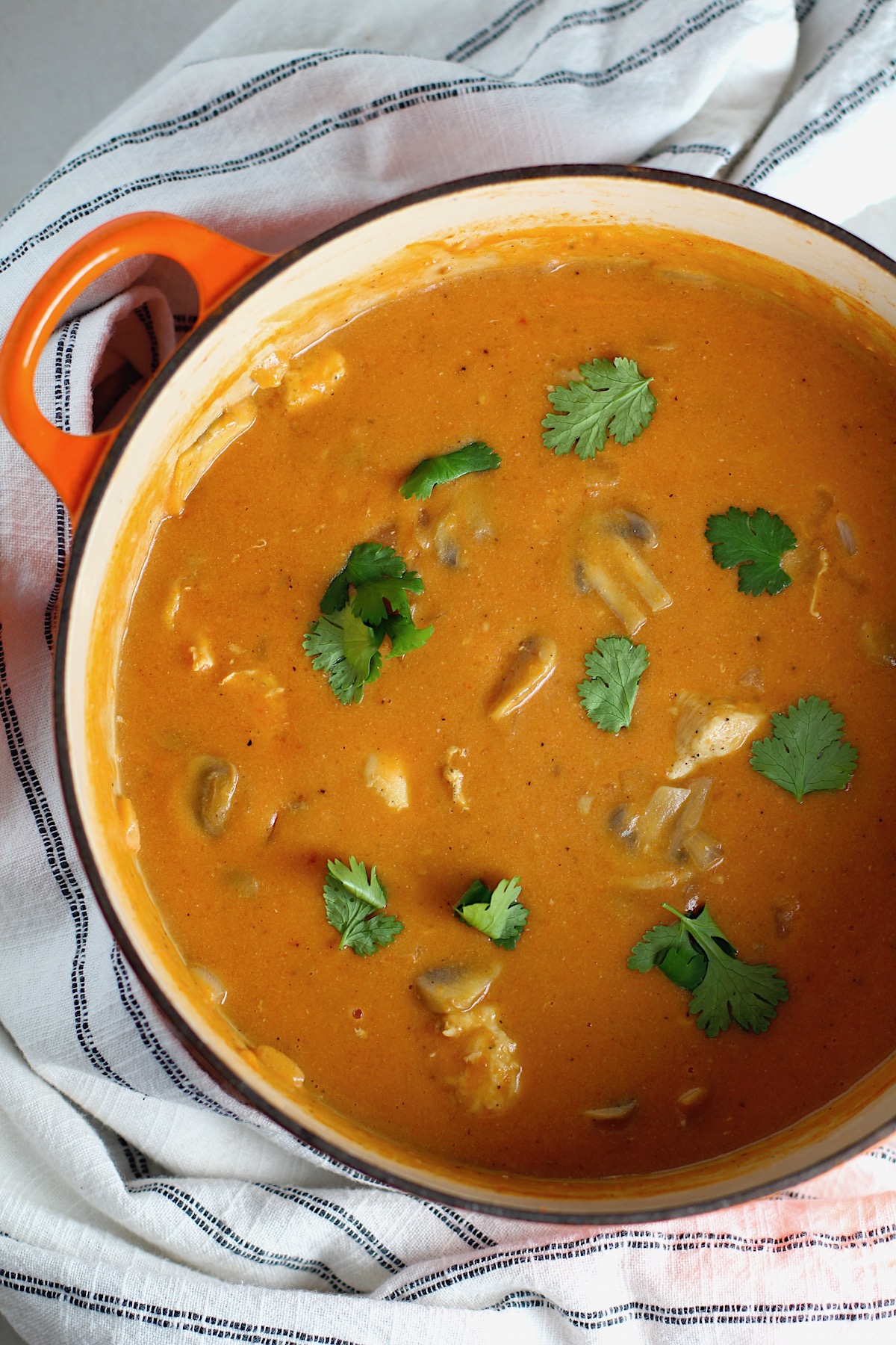 Brazilian Chicken Stroganoff in a tomato-based sauce in a pot with cilantro garnish.  This is an easy 30 minute dinner with a tomato based sauce, cream, and mushrooms all over rice.