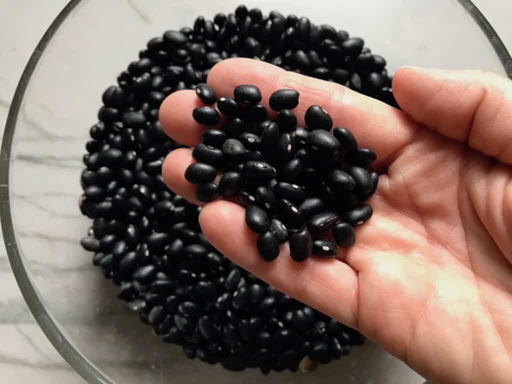 Hand holding dry black beans for Brazilian Black Bean Puree, or Tutu de Feijão.