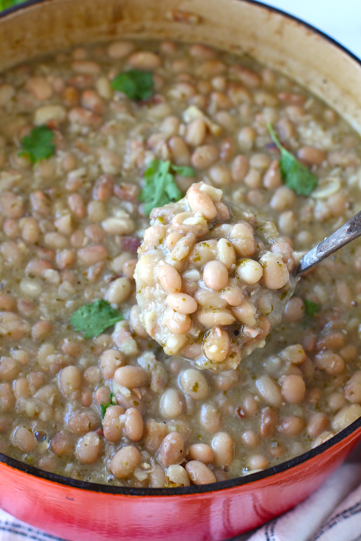 Carioca Beans Dutch Oven Pinto Beans Easy Brazilian Food